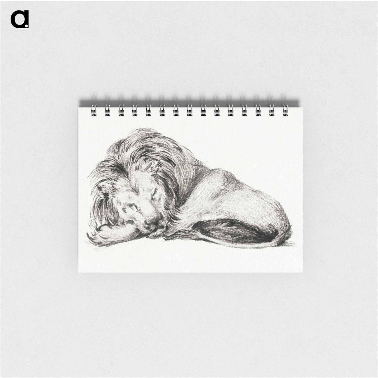 Lying lion - ジャン ベルナール Memo.