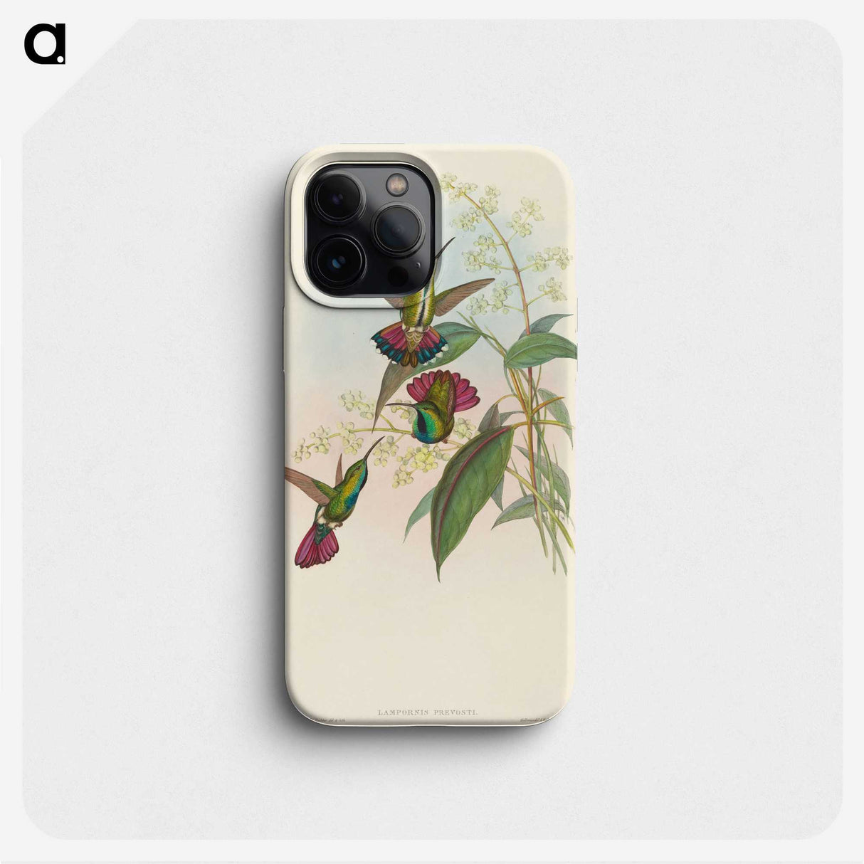 2-33_John-Gould_phone