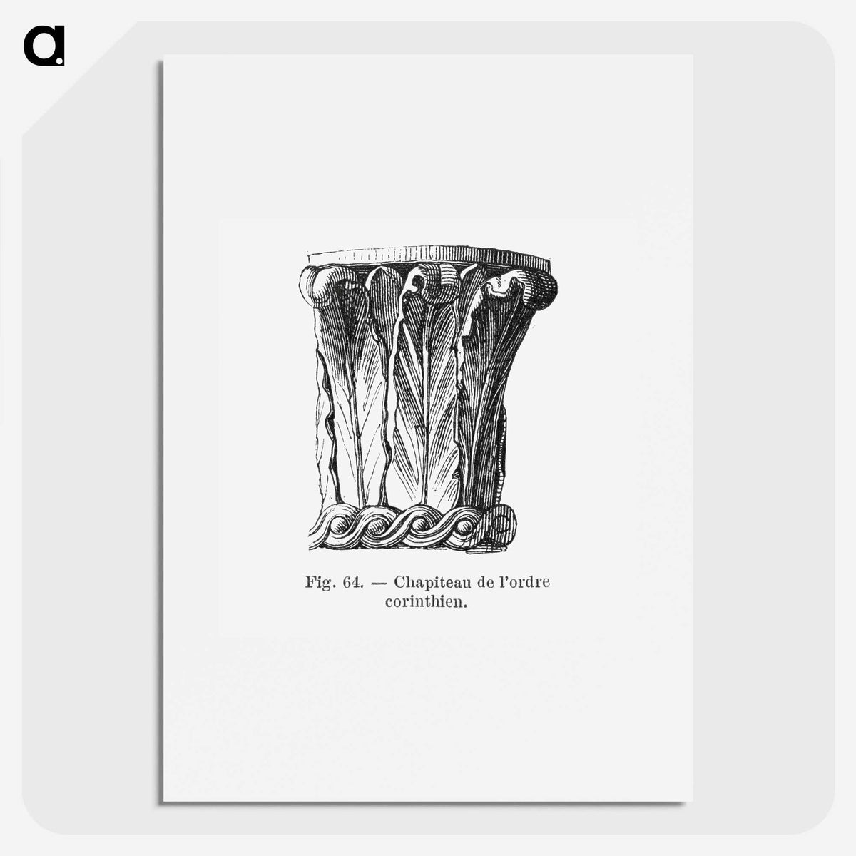 2-33_Les-Palmiers-Histoire-Iconographique_picture