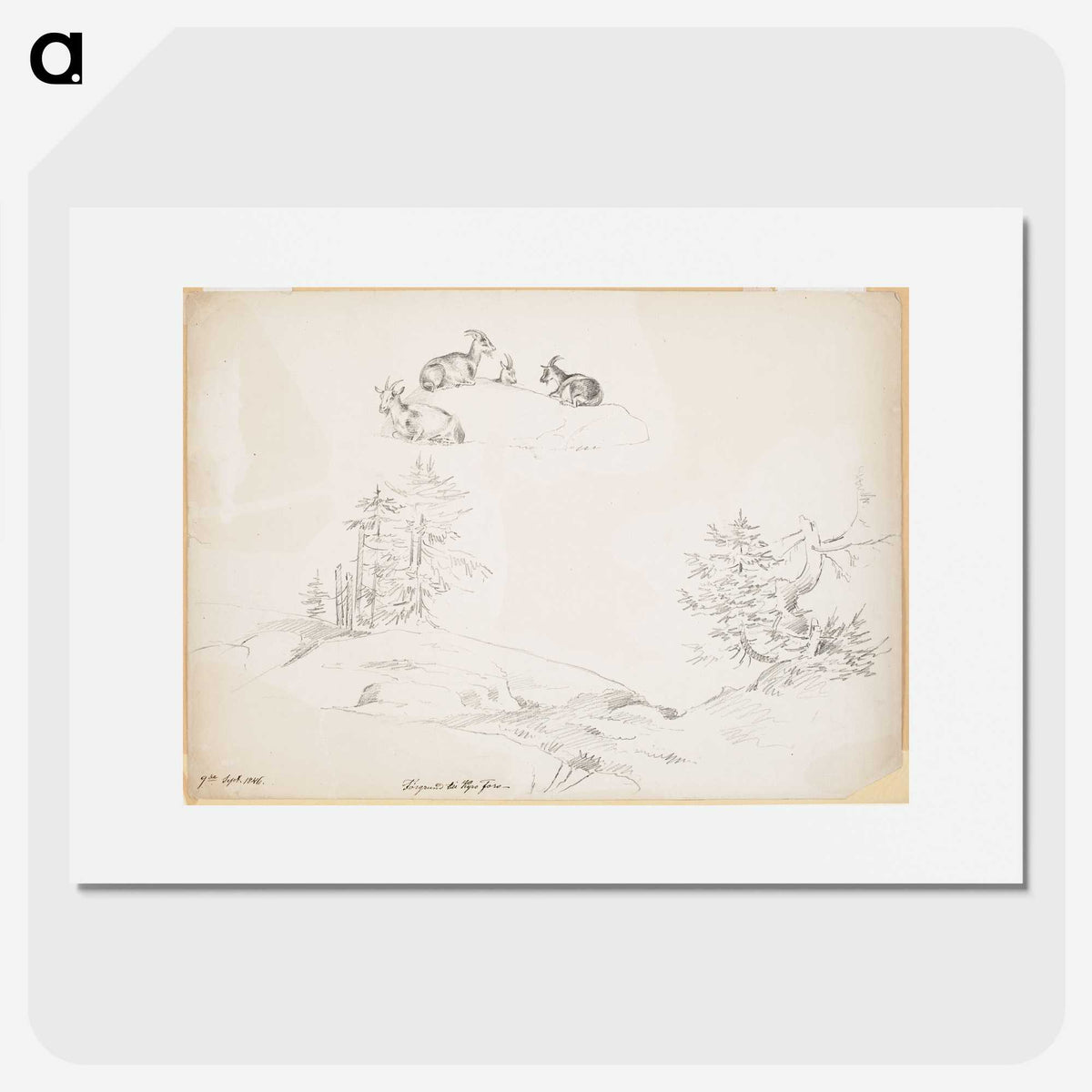 2-33_Magnus-von-Wright_picture