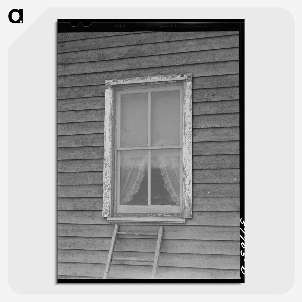 2-33_Marion-Post-Wolcott_picture-crop