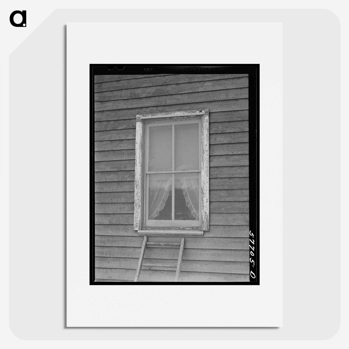 2-33_Marion-Post-Wolcott_picture