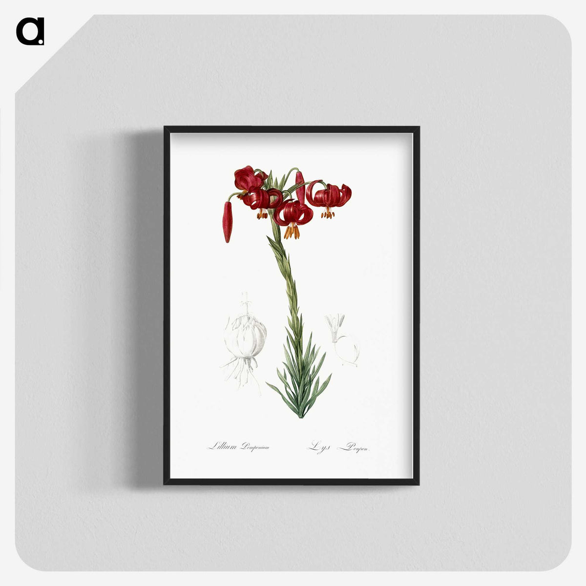 2-33_The-Lilies_blk-crop