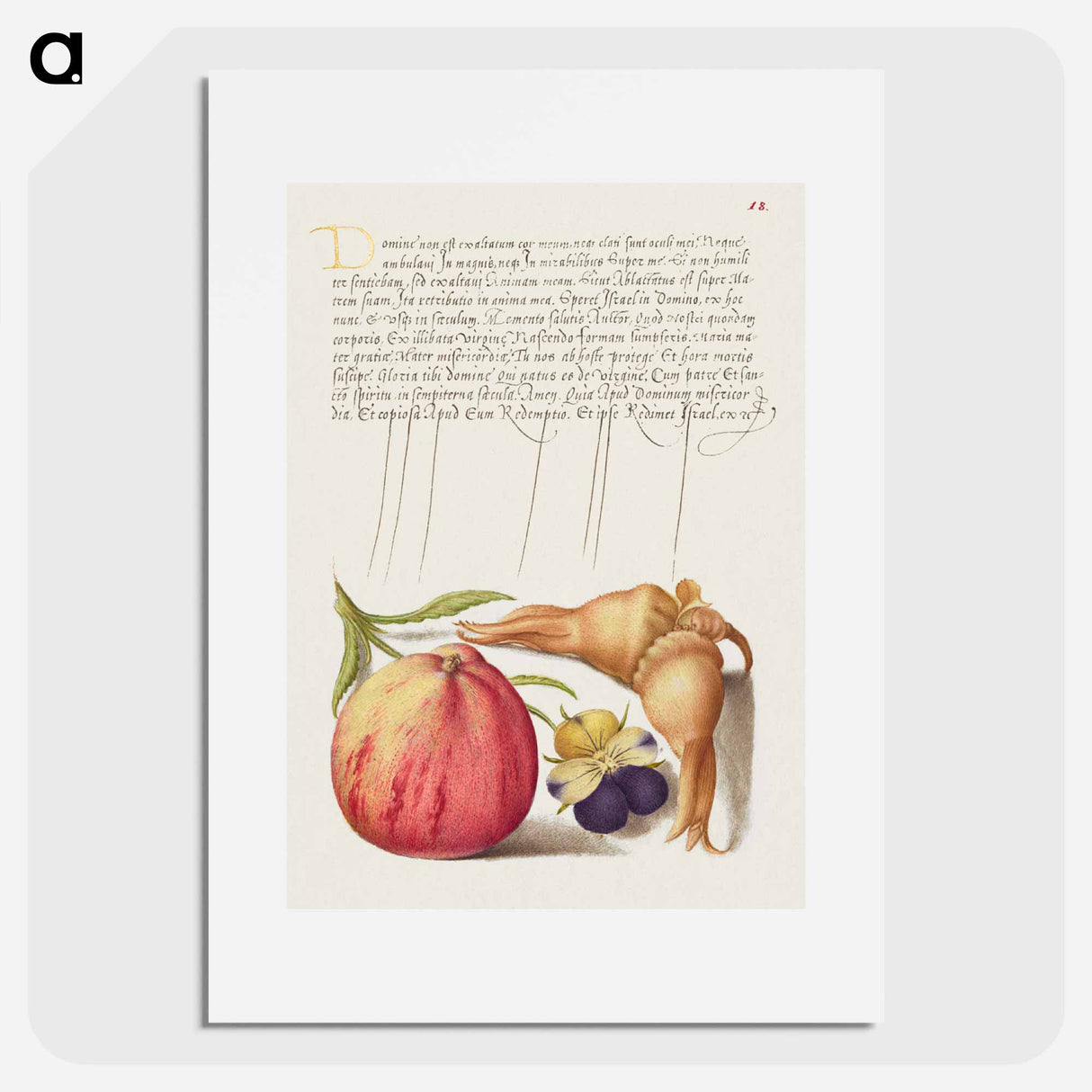 アートポスター-Common Apple, European Wild Pansy, and Giant Filbert
- 書道のお手本 Poster.