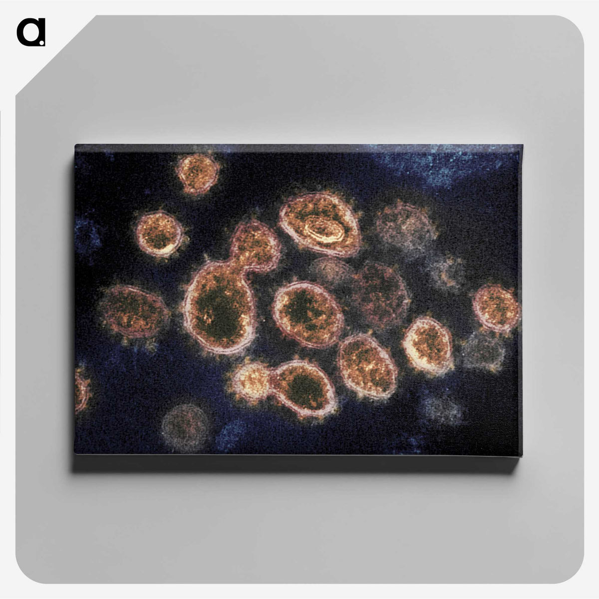 2-34_COVID-19_canvas