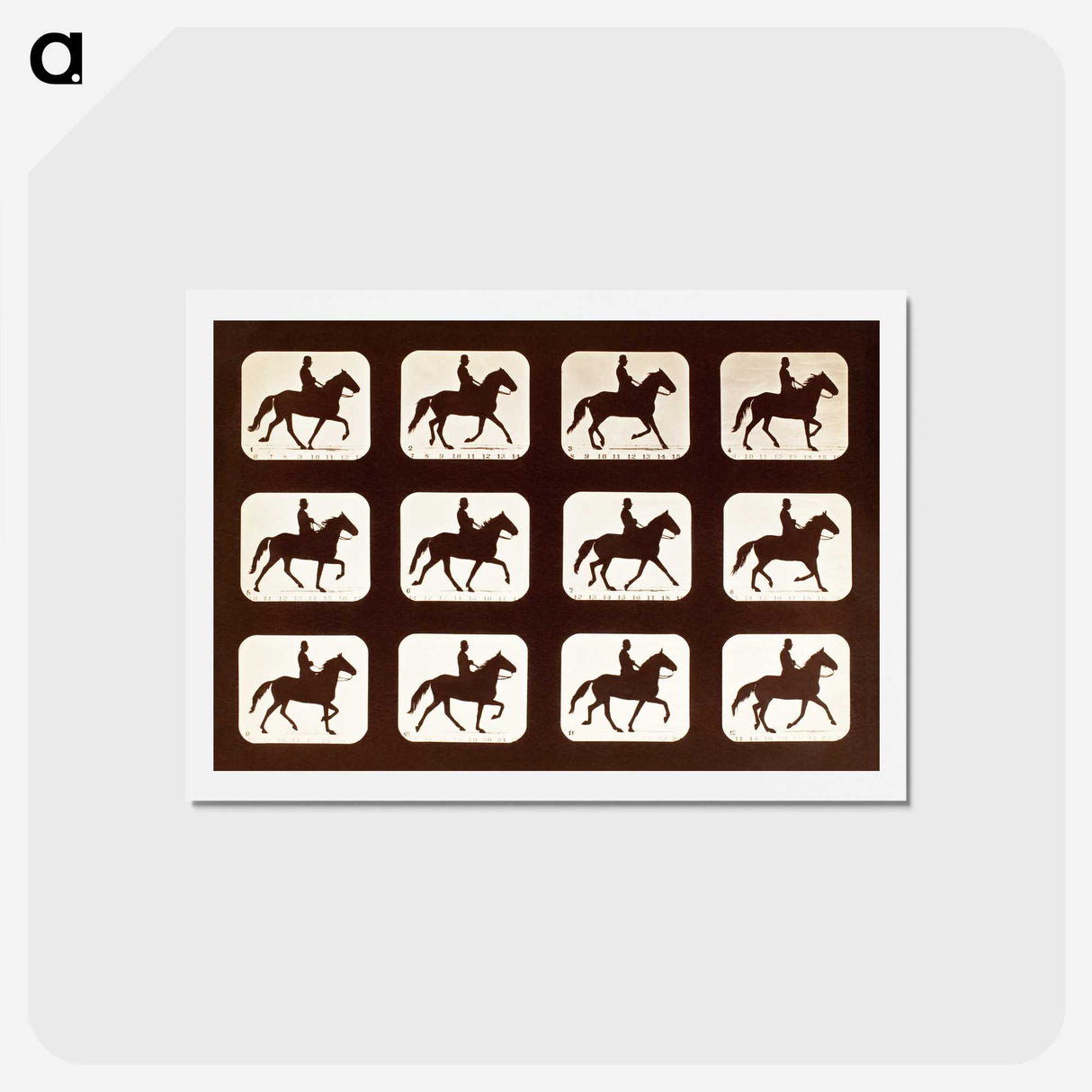 2-34_Eadweard-Muybridge_hagaki