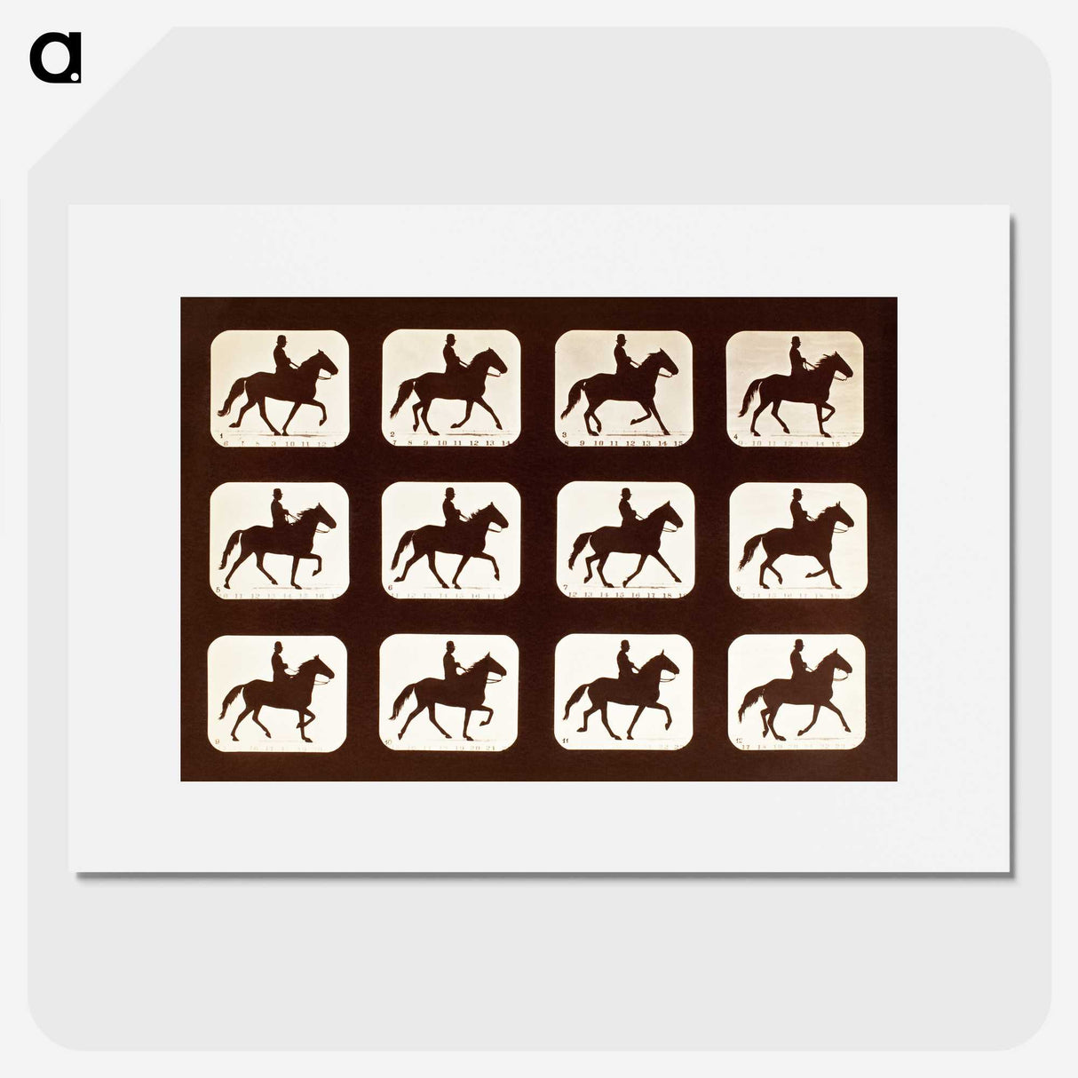 2-34_Eadweard-Muybridge_picture