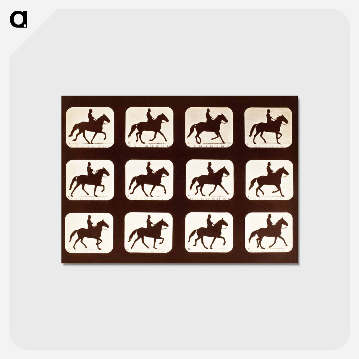アートポストカード-The Amble: One Stride in Eleven Phases
- エドワード マイブリッジ Postcard.