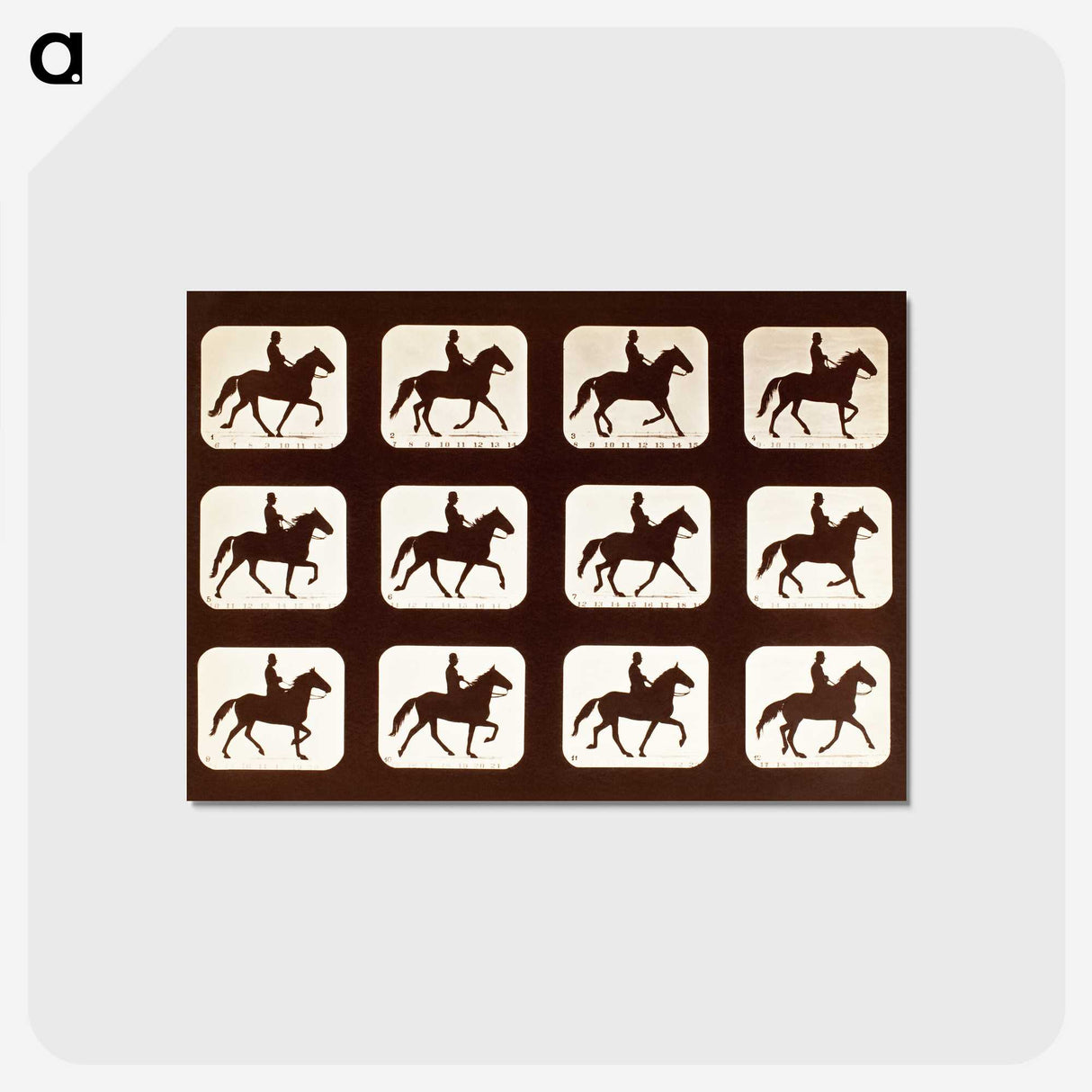 2-34_Eadweard-Muybridge_postcard