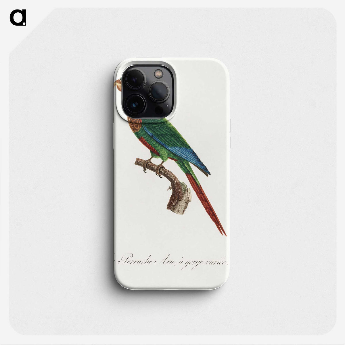2-34_Francois-Levaillant_phone