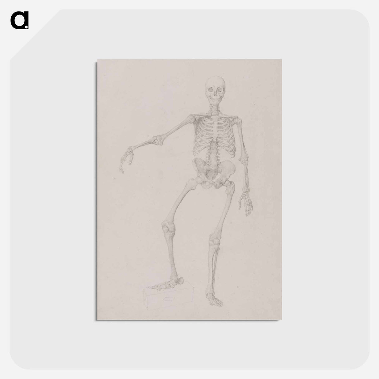 アートポストカード-Human Skeleton, Anterior View
- ジョージ スタッブス Postcard.
