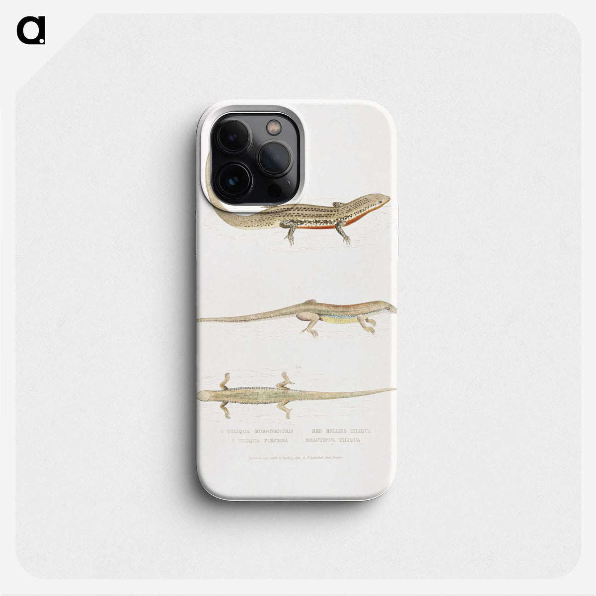 2-34_Indian-Zoology_phone