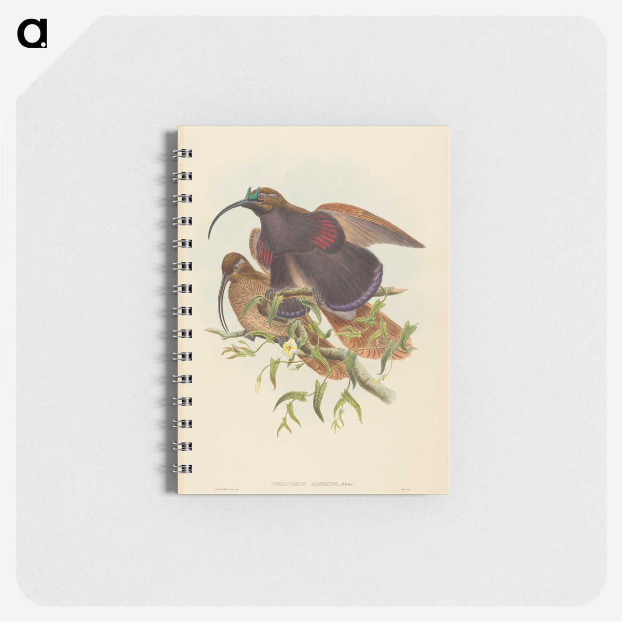 2-34_John-Gould_memo
