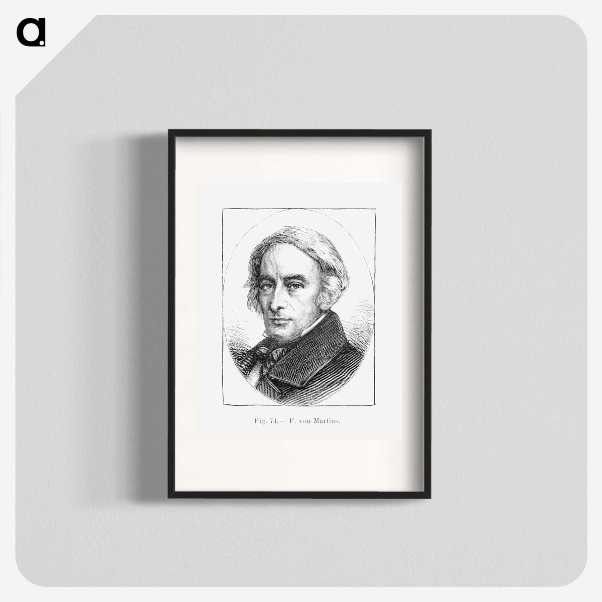 2-34_Les-Palmiers-Histoire-Iconographique_blk