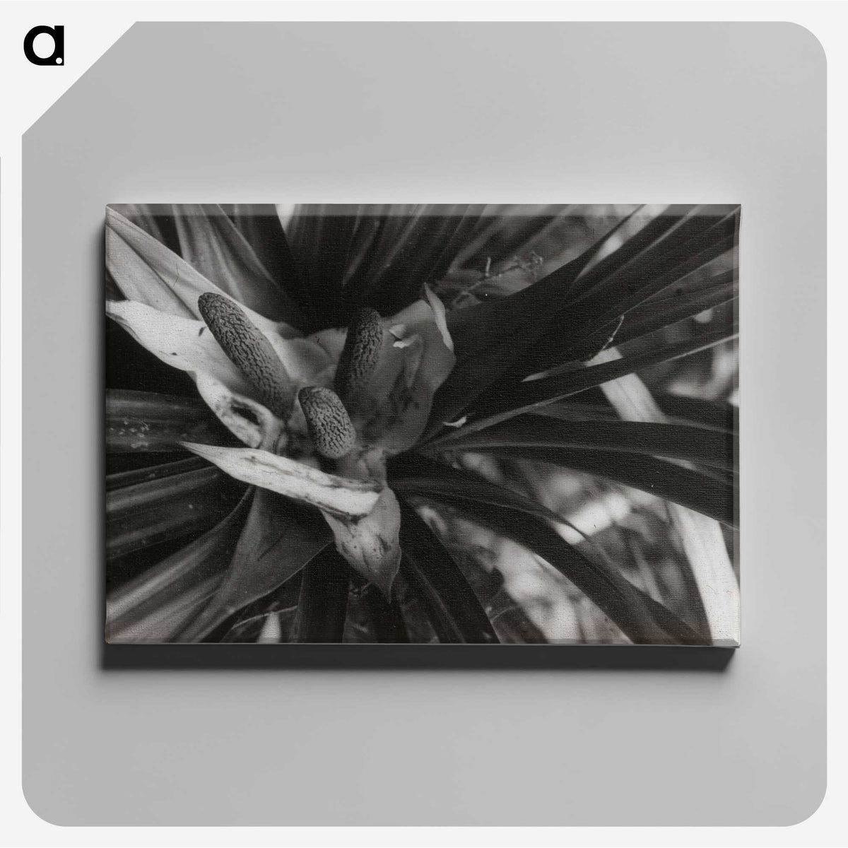 2-34_Leslie-Adkin_canvas