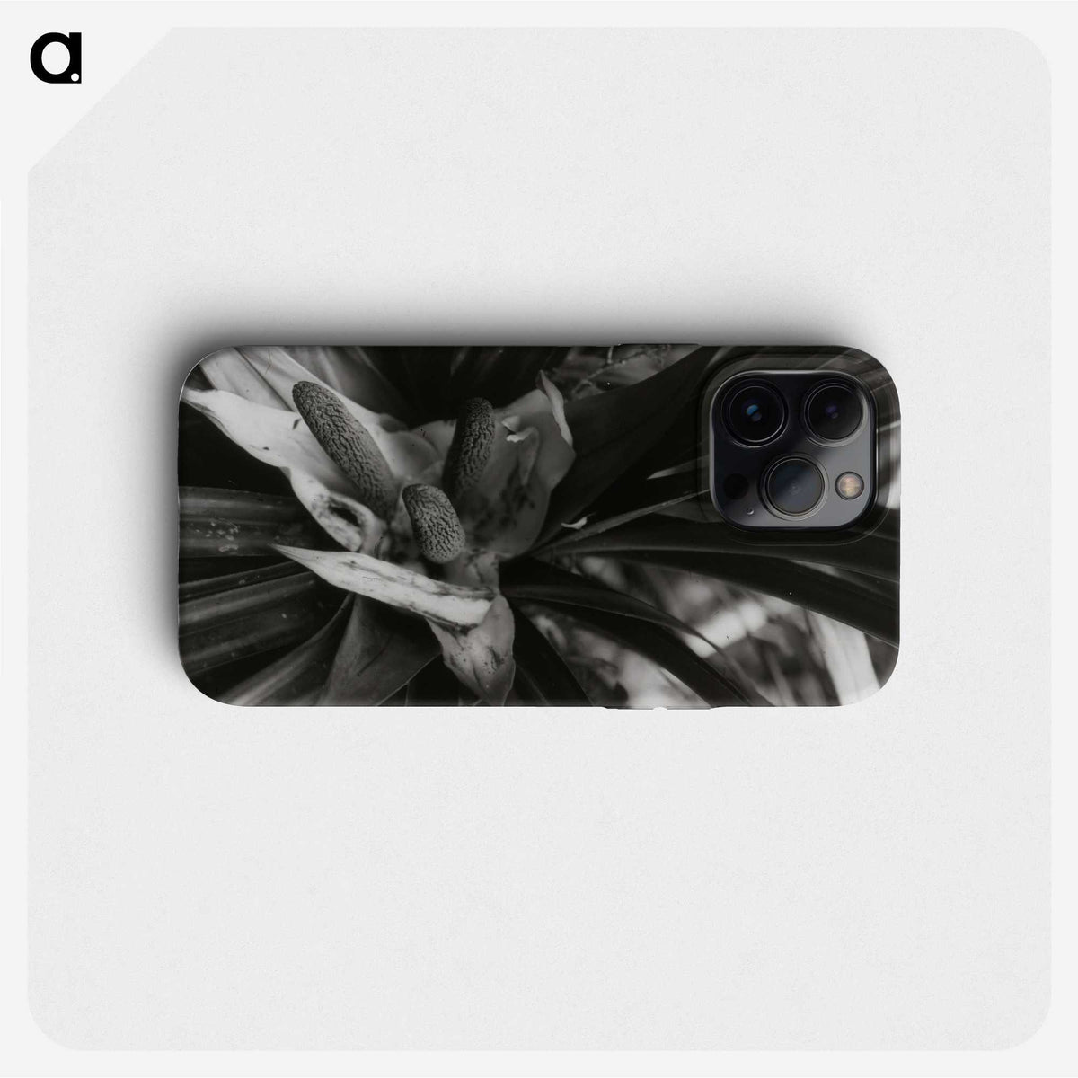 2-34_Leslie-Adkin_phone