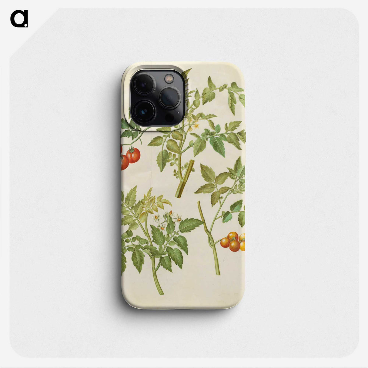 2-34_Maria-Sibylla-Merian_phone