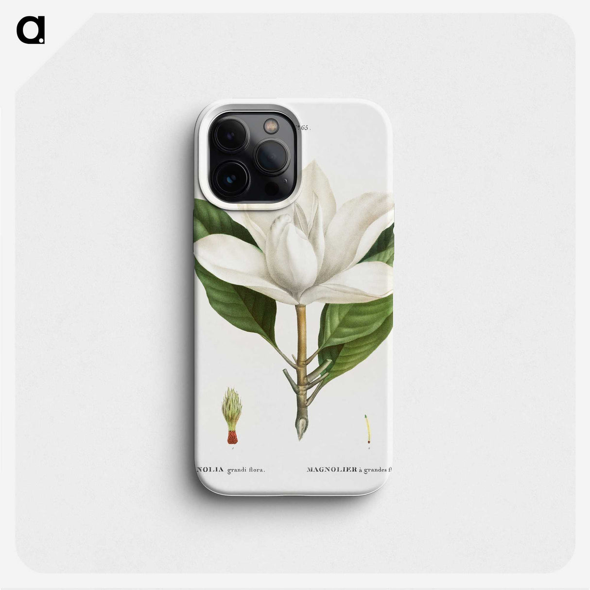 2-34_Pierre-Joseph-Redoute_phone
