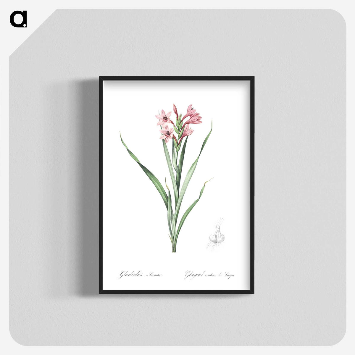2-34_The-Lilies_blk-crop