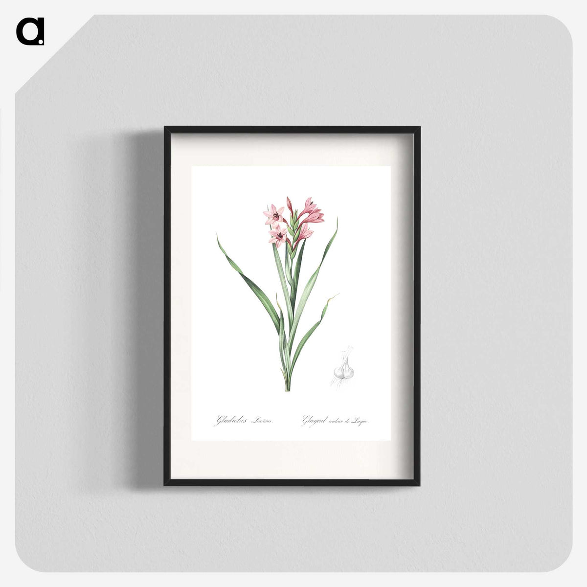 2-34_The-Lilies_blk