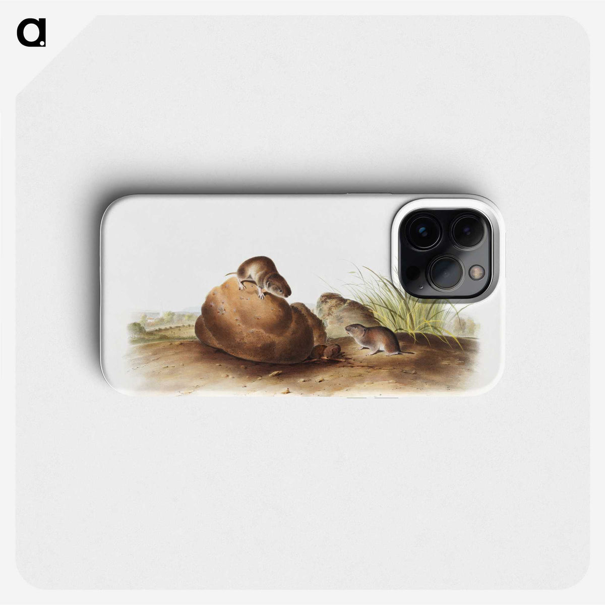 2-34_The-Viviparous-Quadrupeds_phone
