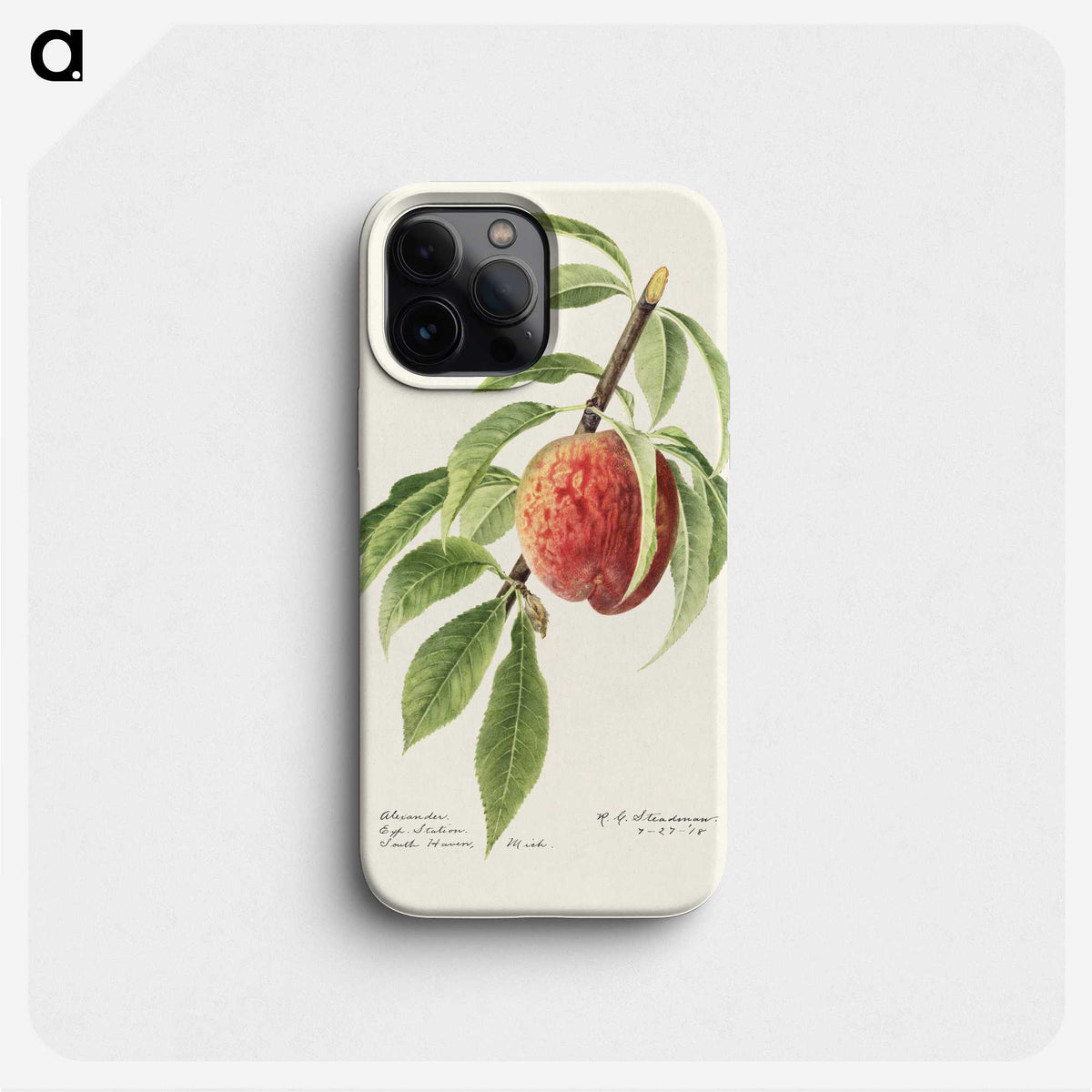 2-34_USDA-Watercolor-Fruit-Painting-Collection_phone