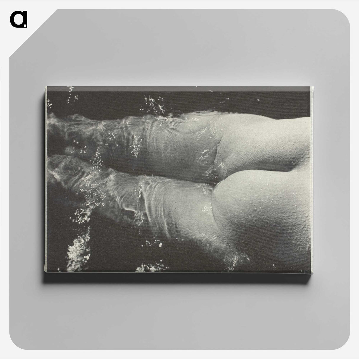 2-35_Alfred-Stieglitz_canvas