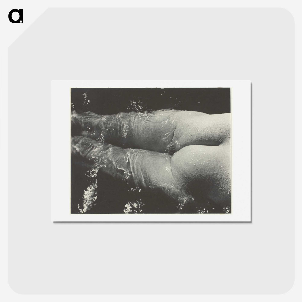 2-35_Alfred-Stieglitz_hagaki