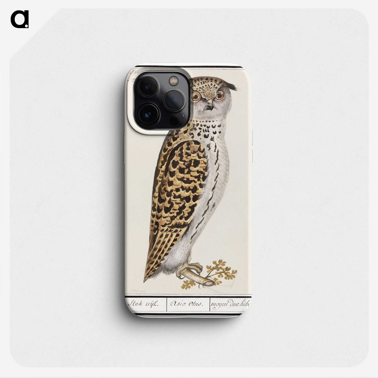 2-35_Anselmus-Boetius-de-Boodt_phone