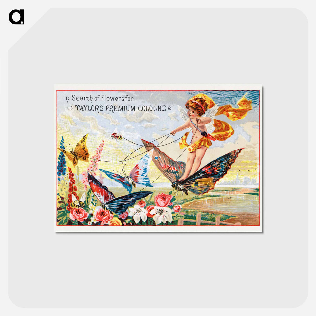 アートポストカード-Taylor's Premium Cologne
- ボストン公共図書館 Postcard.