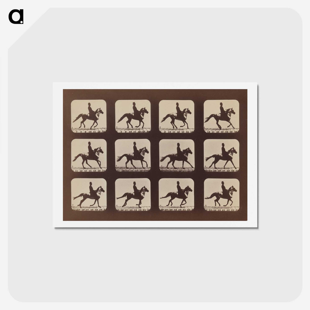 2-35_Eadweard-Muybridge_hagaki
