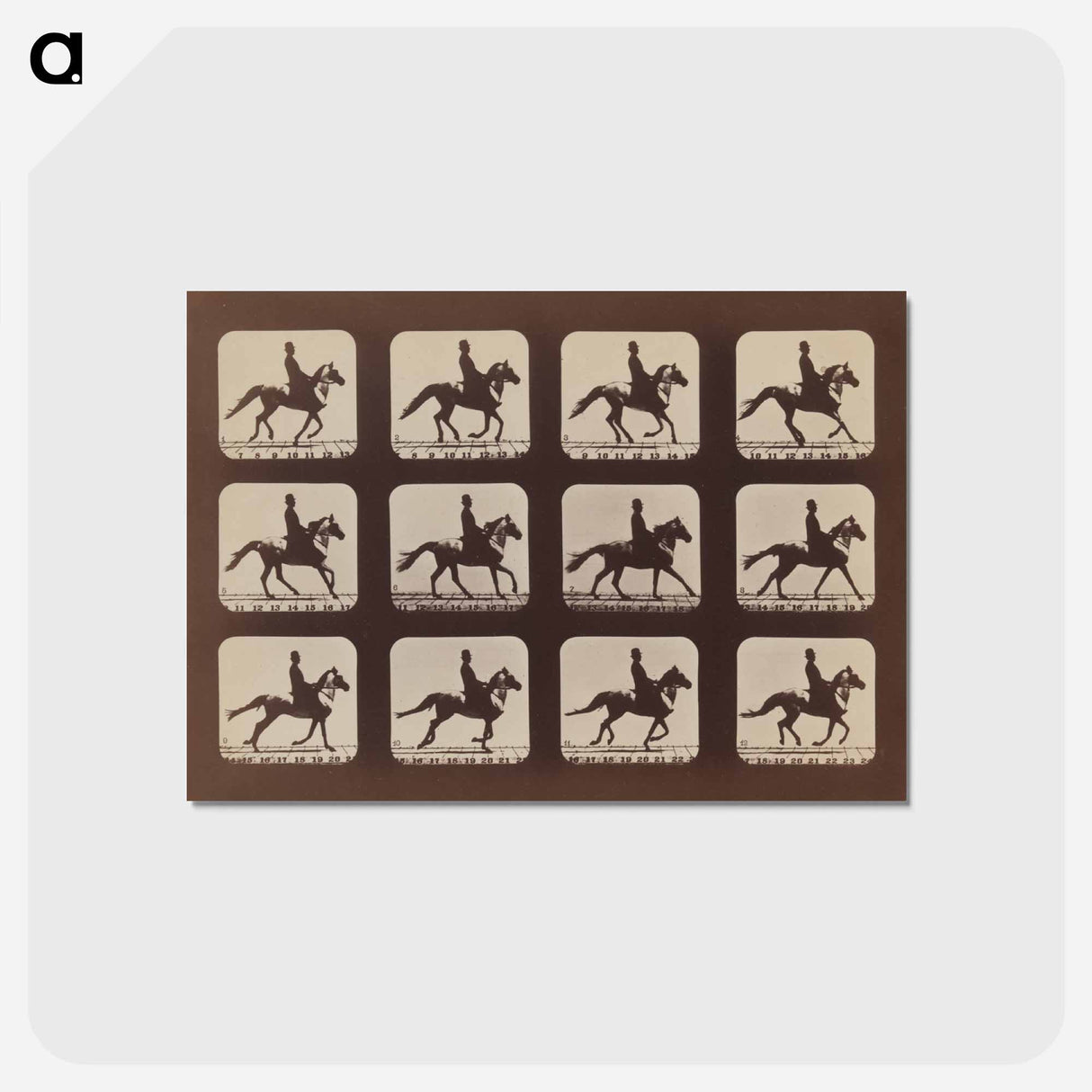アートポストカード-Attitudes of Animals in Motion
- エドワード マイブリッジ Postcard.