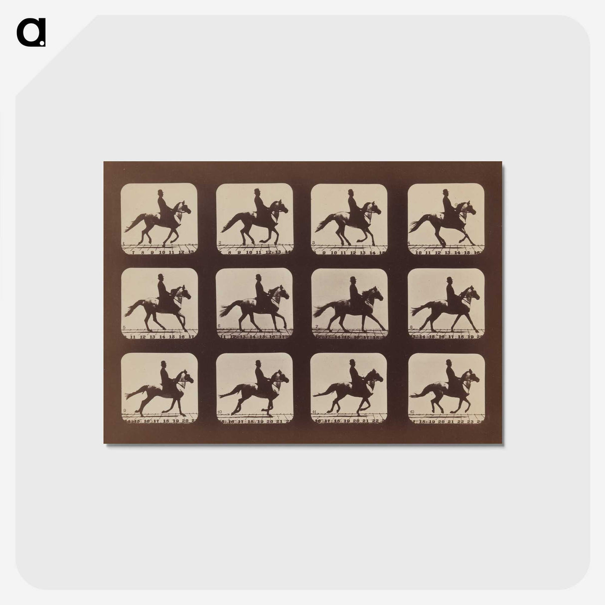 2-35_Eadweard-Muybridge_postcard