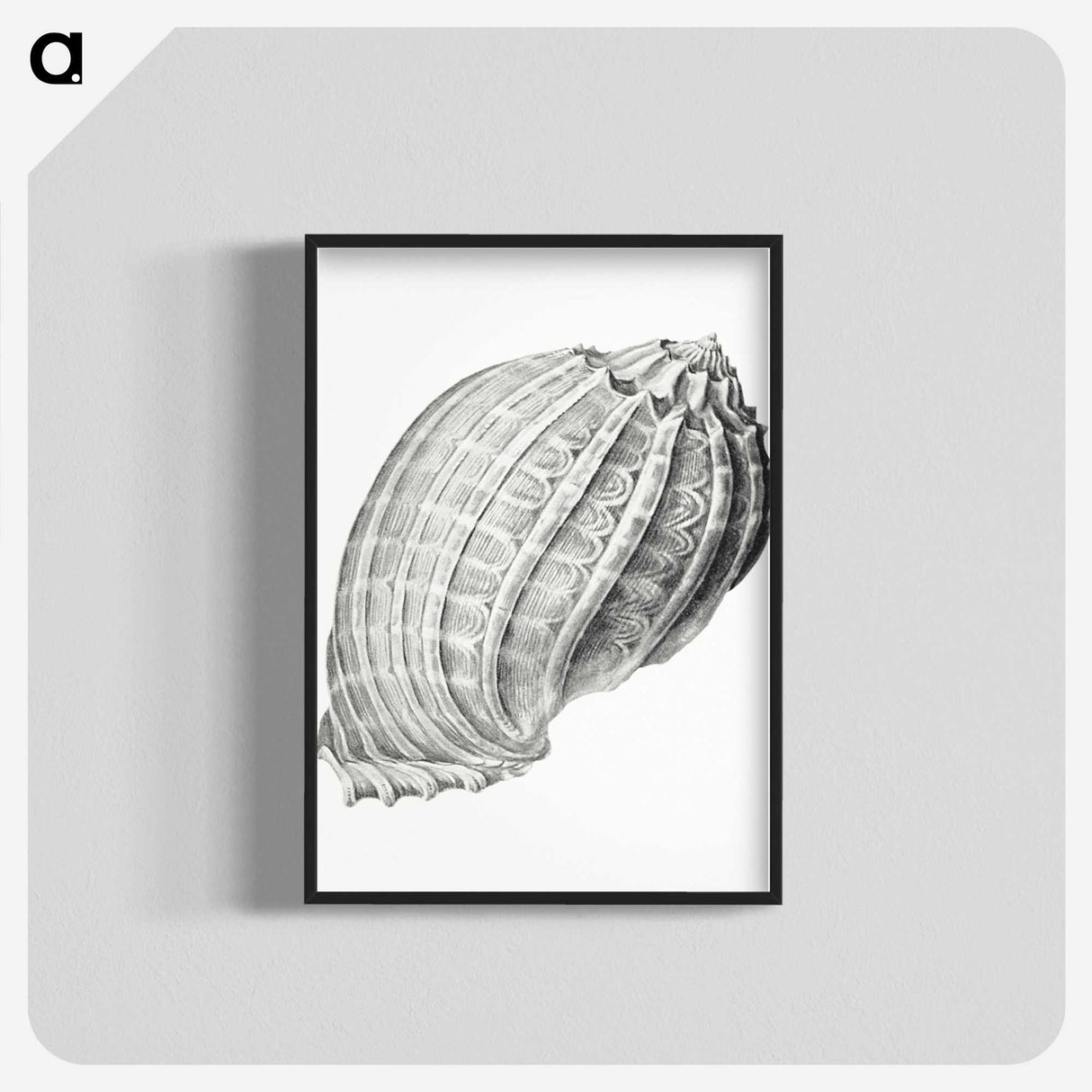 2-35_Ernst-Haeckel_blk-crop