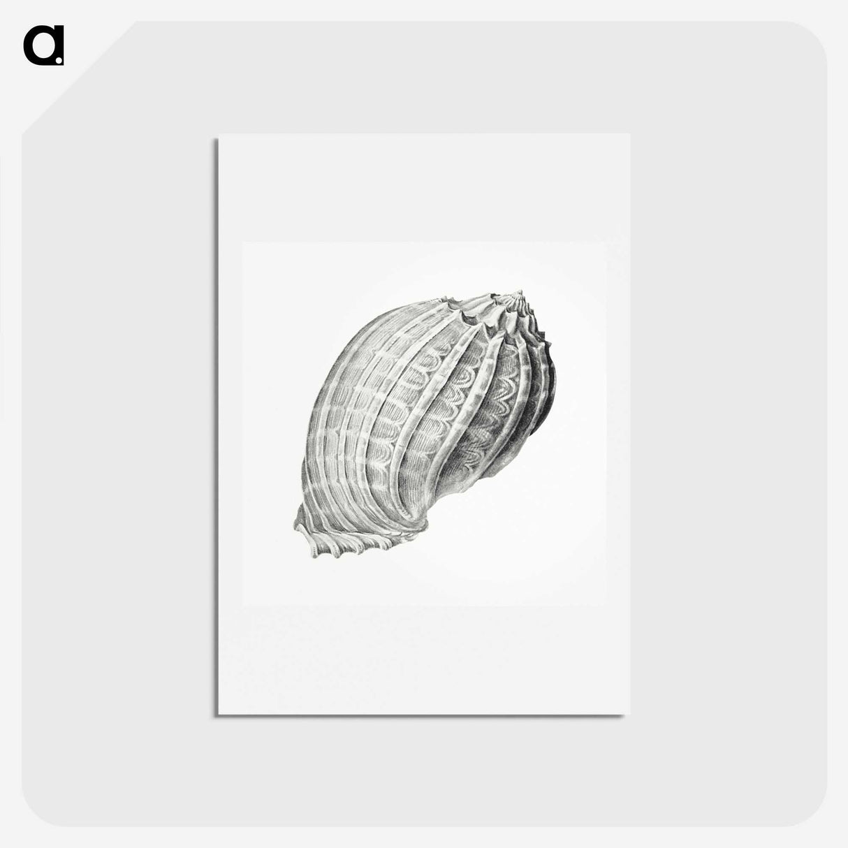 2-35_Ernst-Haeckel_hagaki