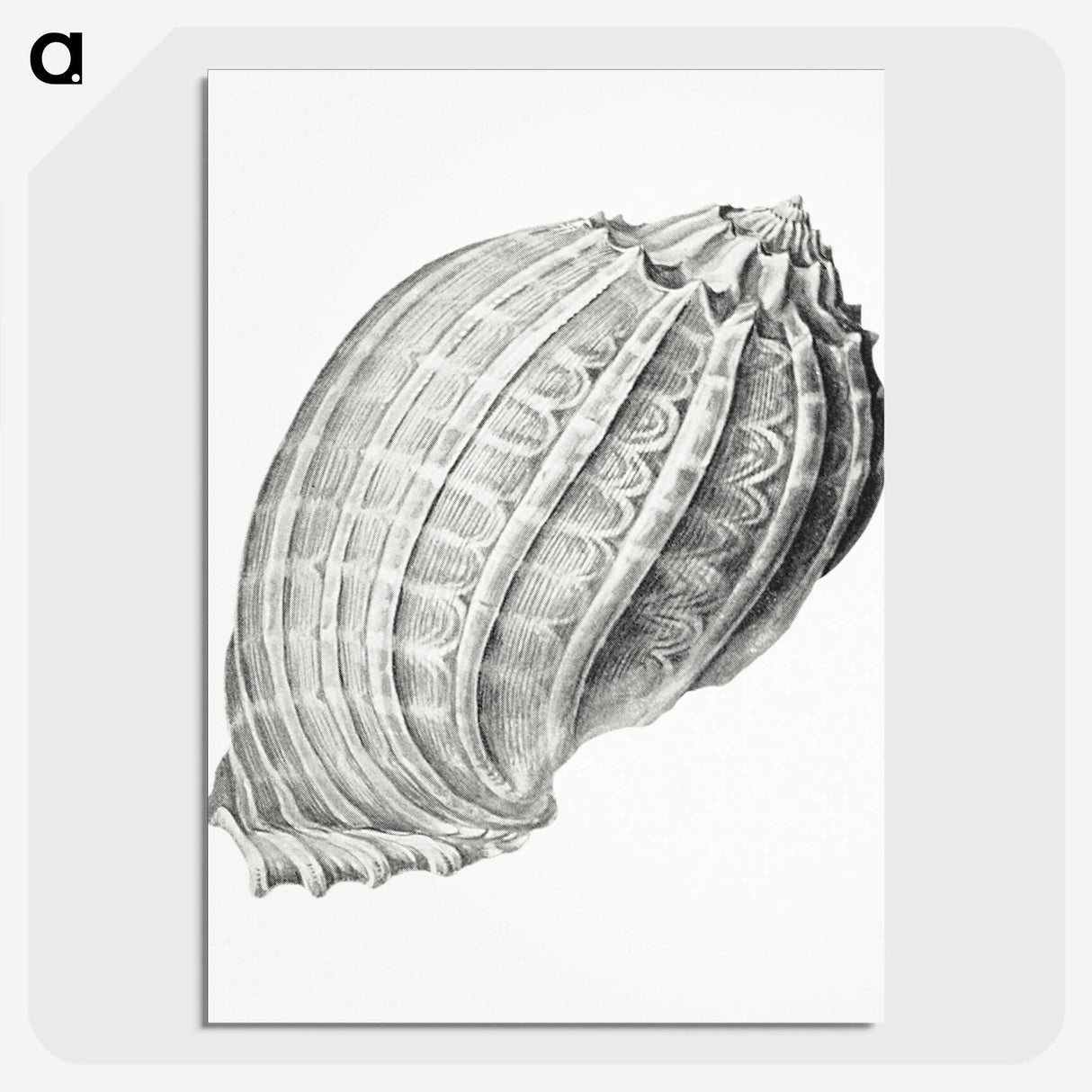 2-35_Ernst-Haeckel_picture-crop
