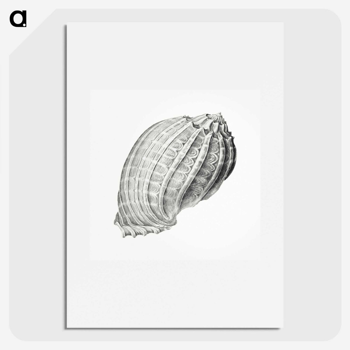 2-35_Ernst-Haeckel_picture
