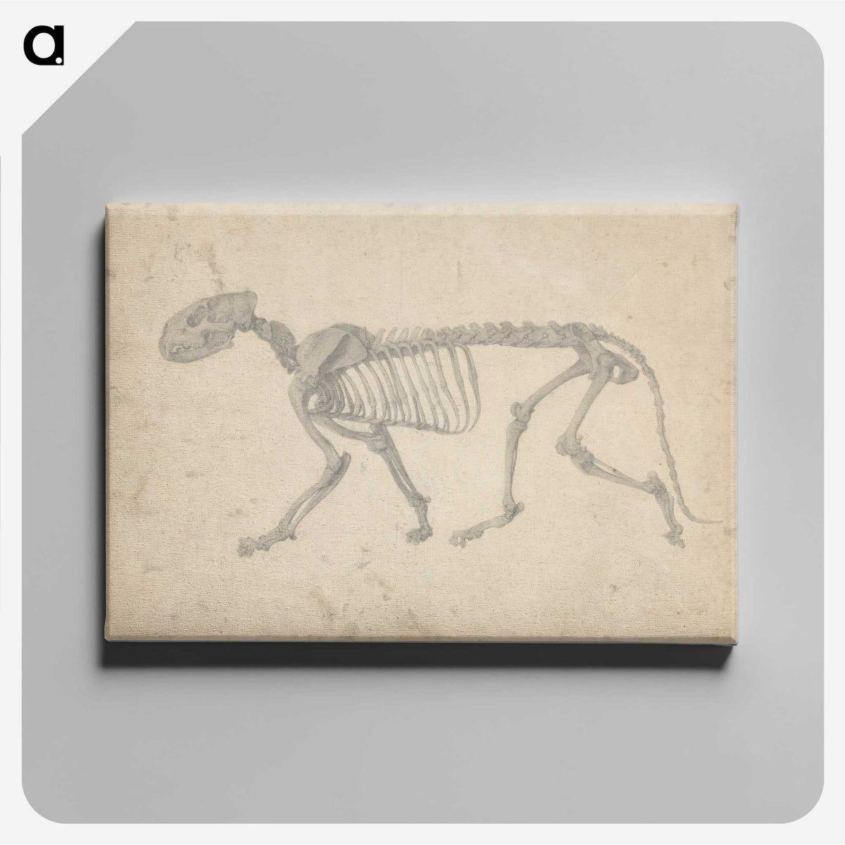 2-35_George-Stubbs_canvas