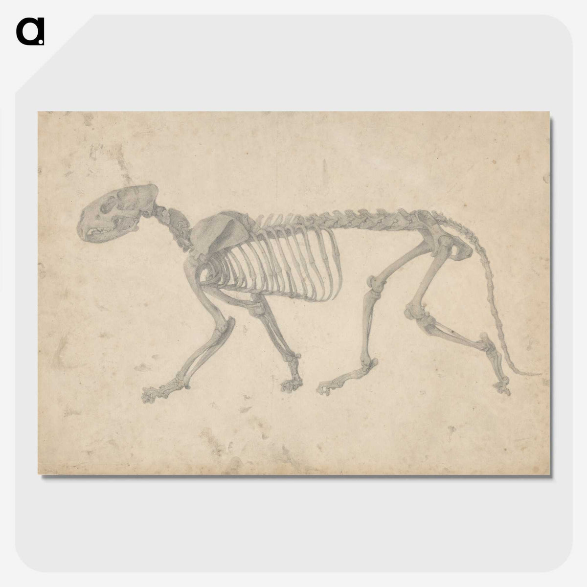 2-35_George-Stubbs_picture-crop