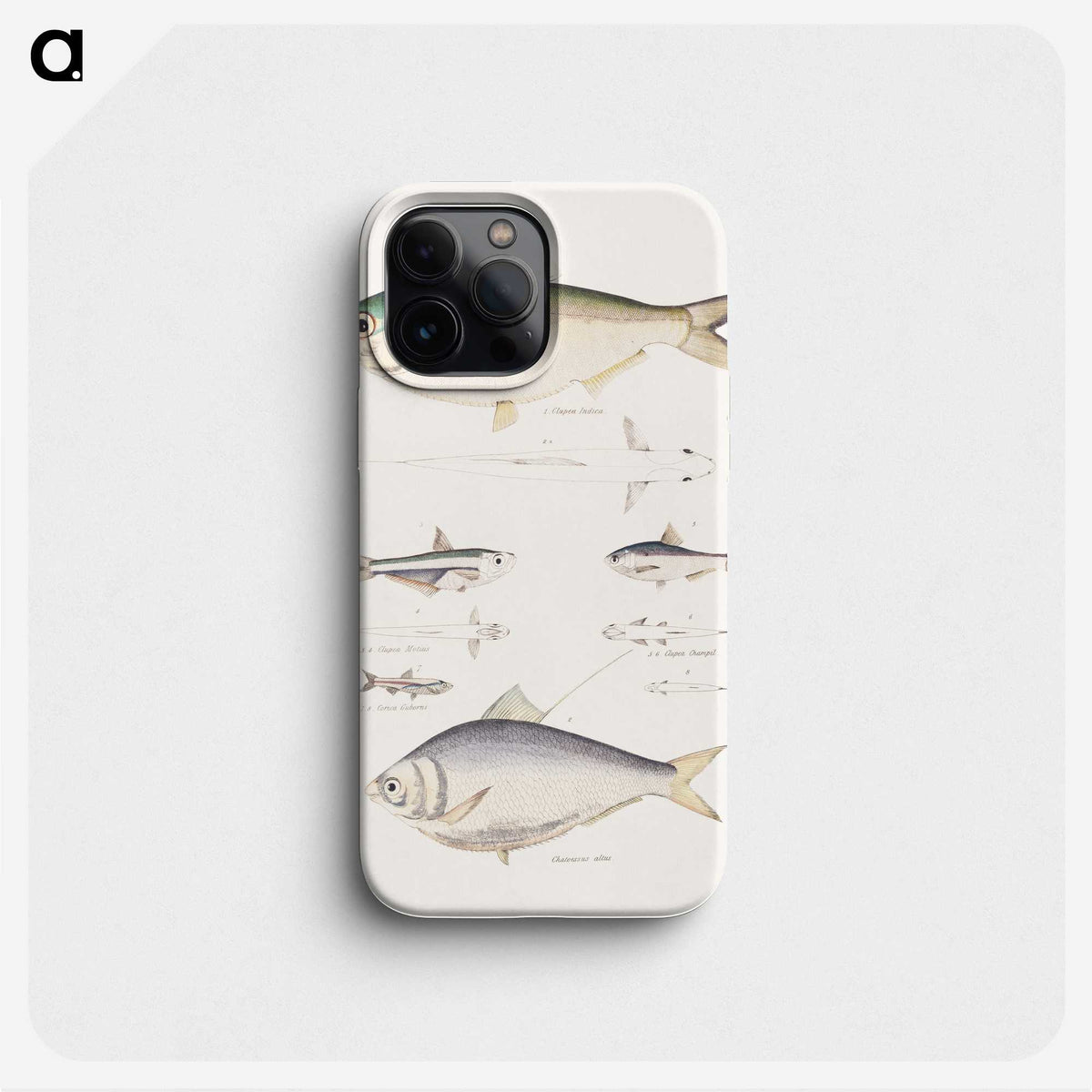 2-35_Indian-Zoology_phone