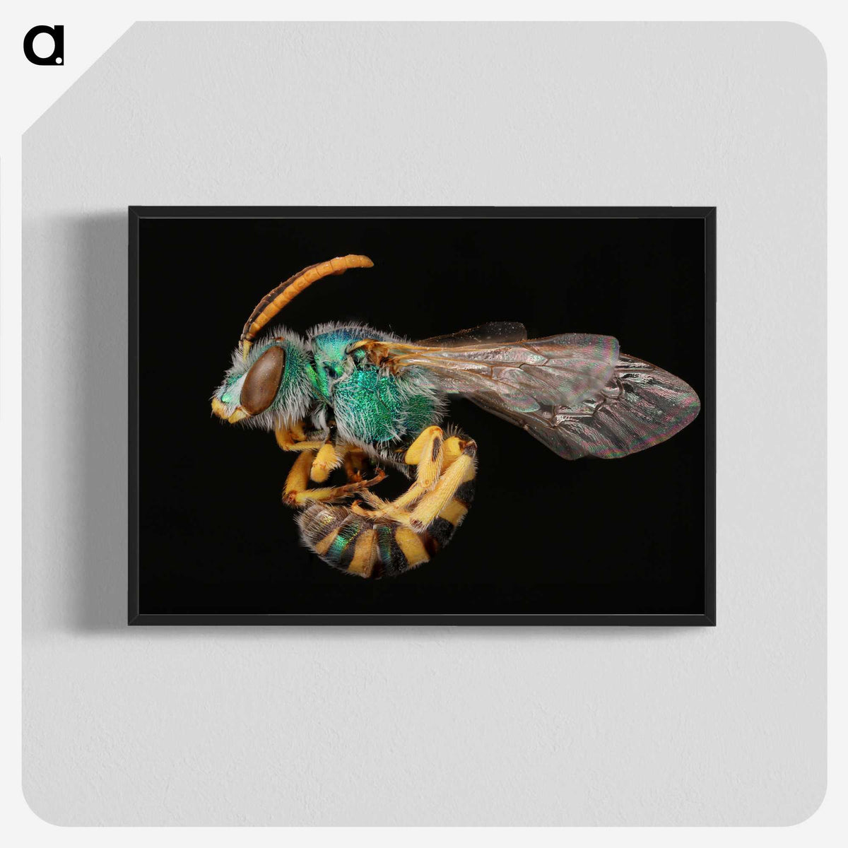 2-35_Insects-Unlocked-Project_blk-crop