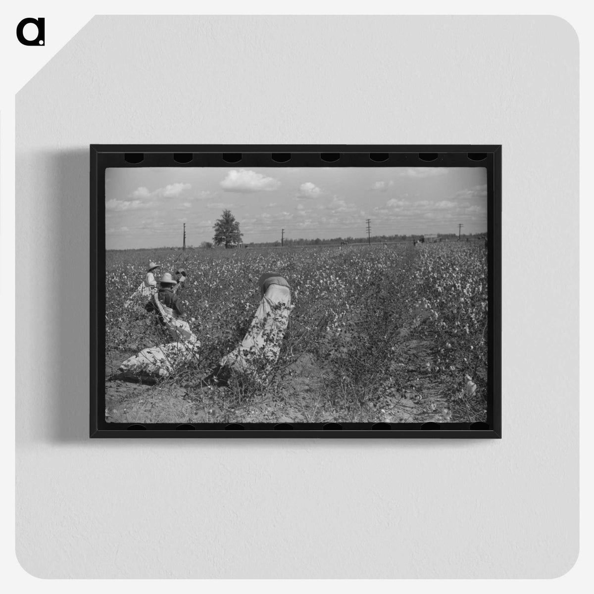 2-35_Marion-Post-Wolcott_blk-crop