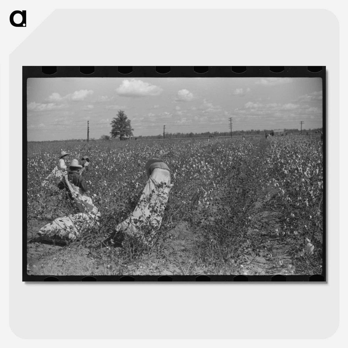 2-35_Marion-Post-Wolcott_picture-crop