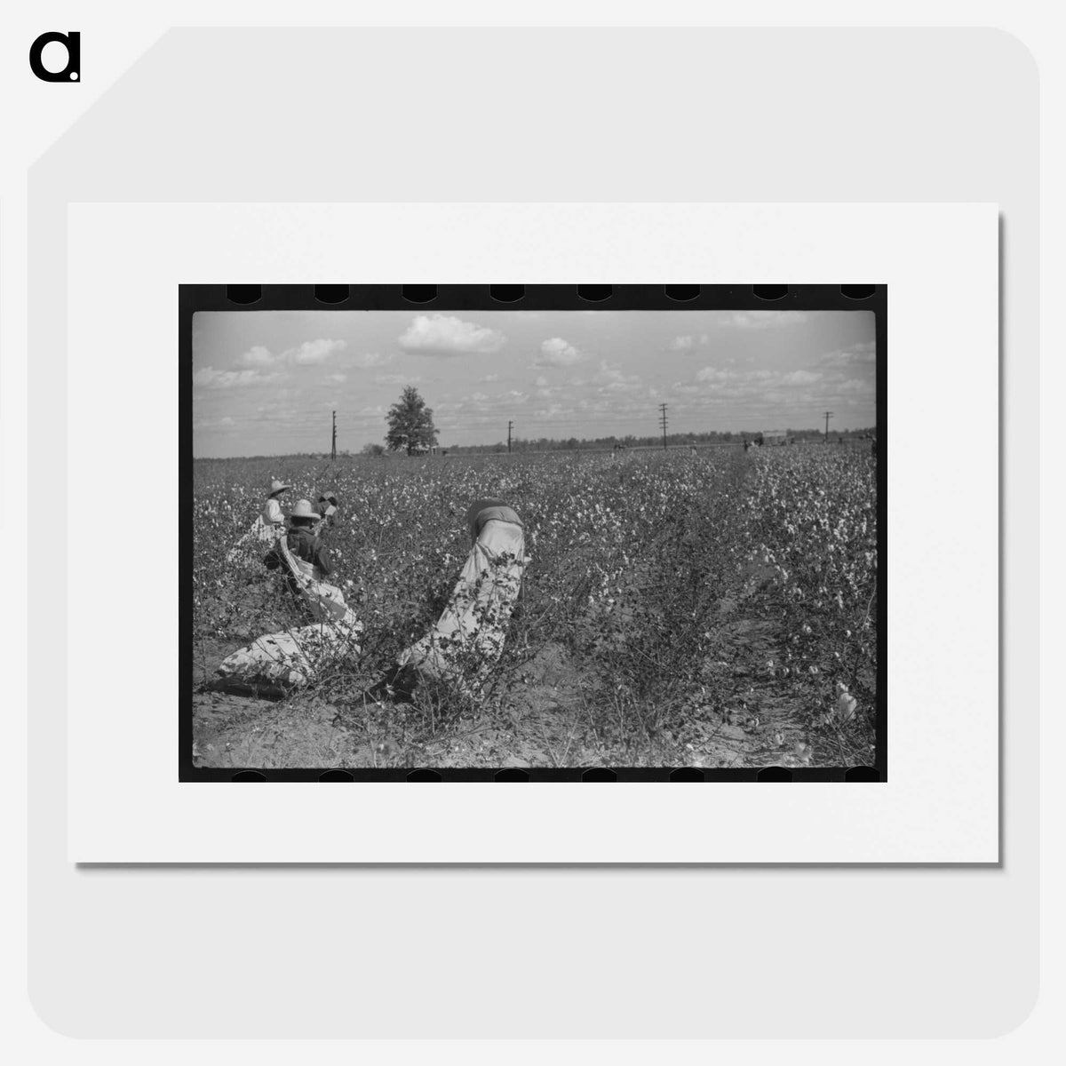 2-35_Marion-Post-Wolcott_picture