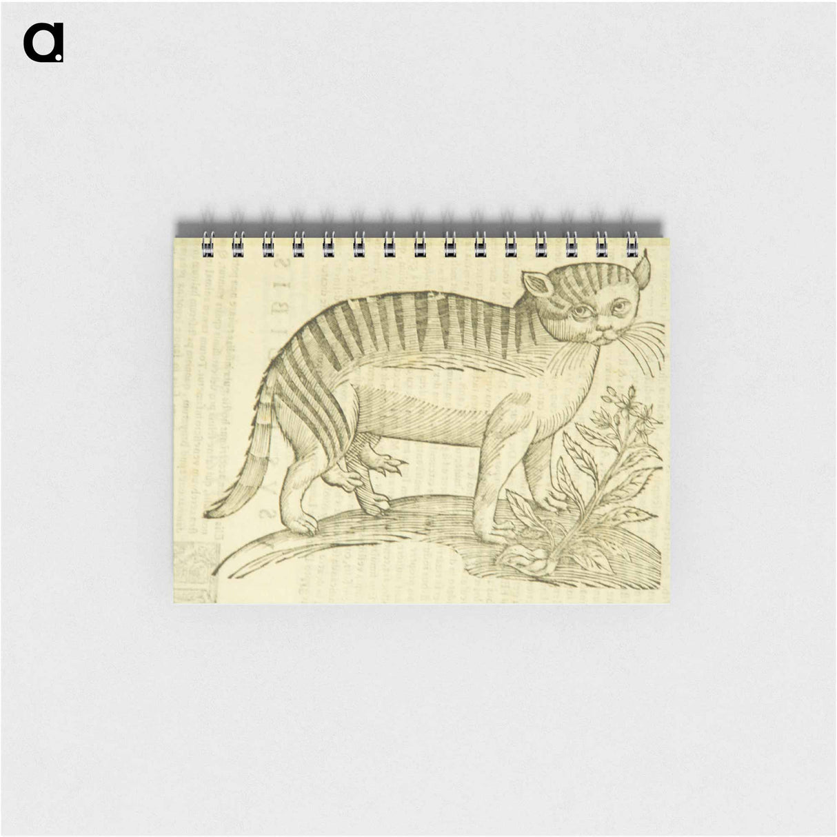 アートメモ帳-Felis foemina hexapus cum aelurogono, idest buglossa
- 国立医学図書館 Memo.