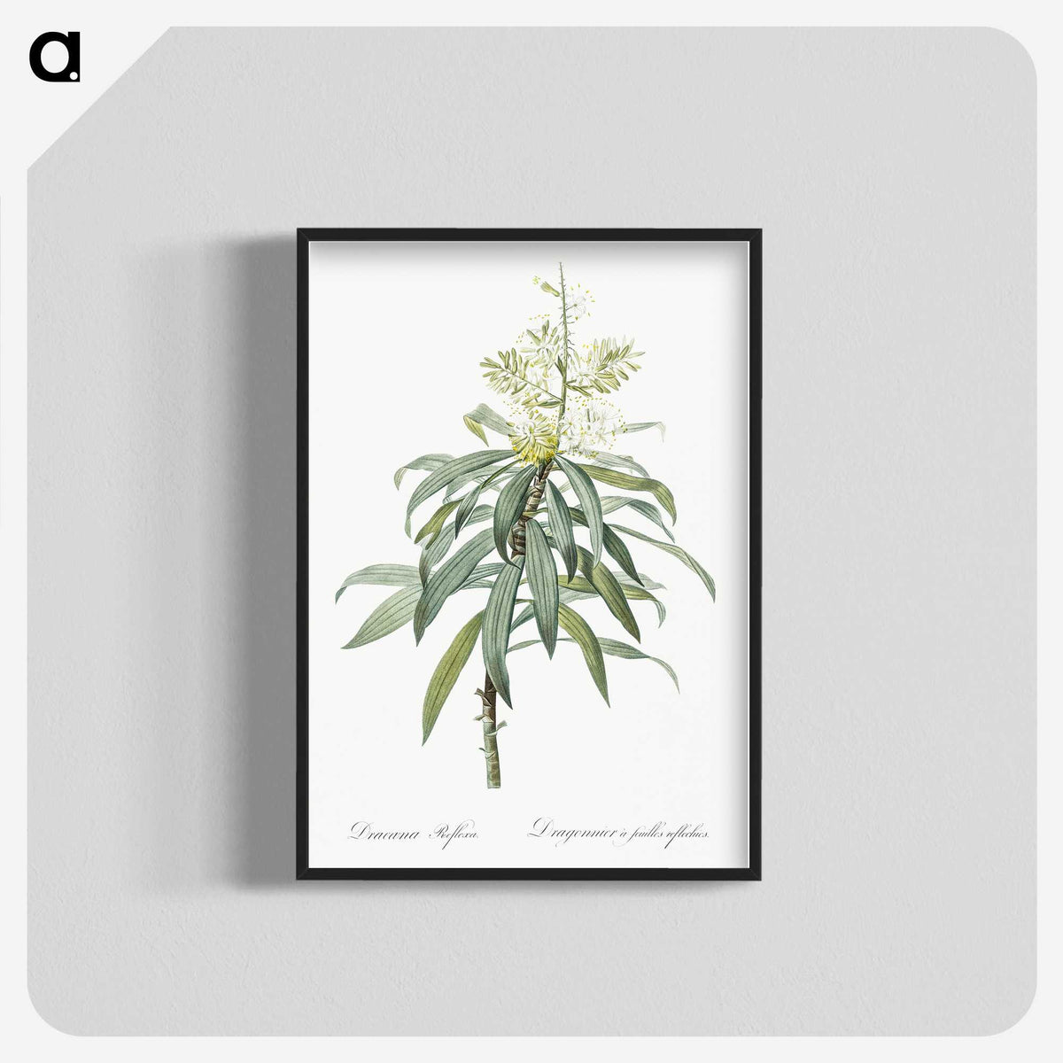 2-35_The-Lilies_blk-crop