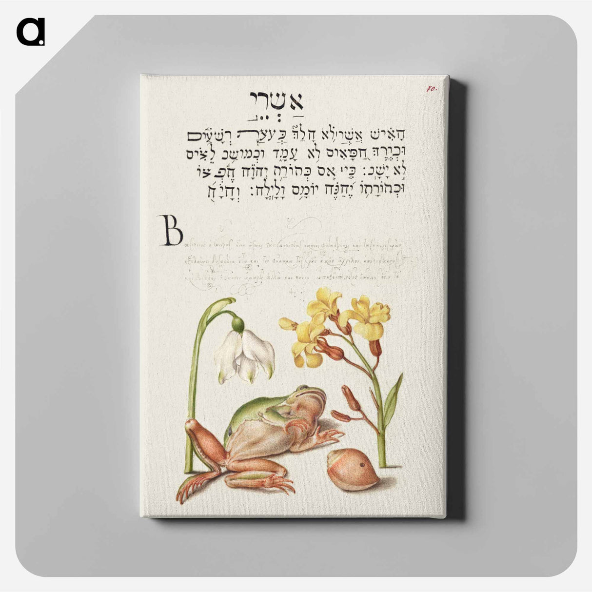 アートパネル-Spring Snowflake, Tree Frog, Wallflower, and Marine Mollusk
- 書道のお手本 Canvas.