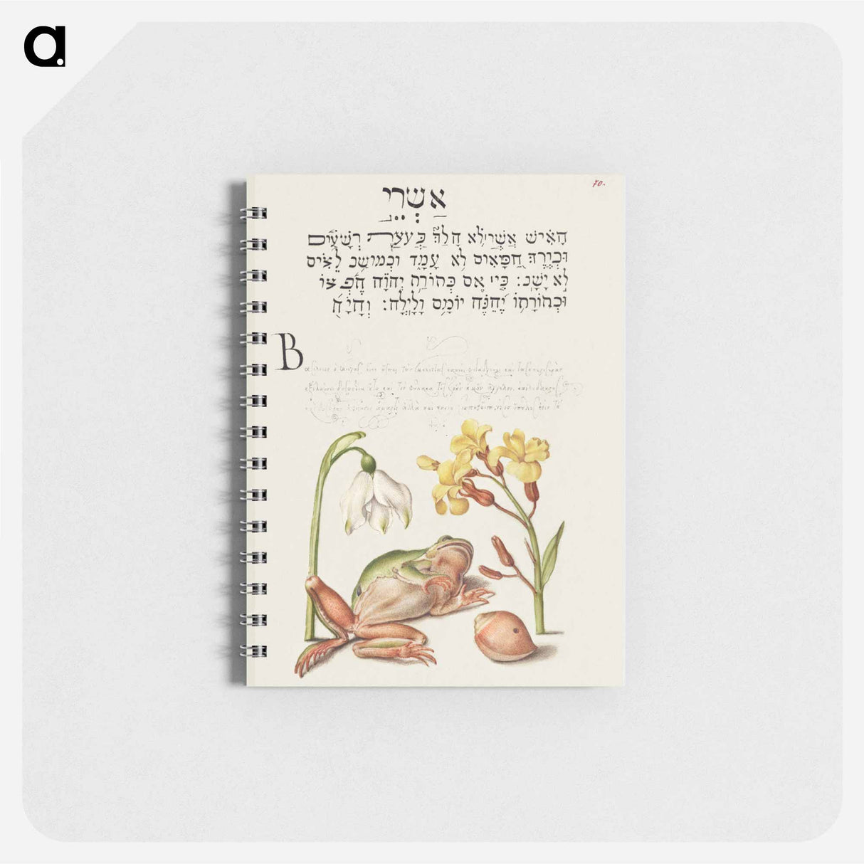 アートメモ帳-Spring Snowflake, Tree Frog, Wallflower, and Marine Mollusk
- 書道のお手本 Memo.