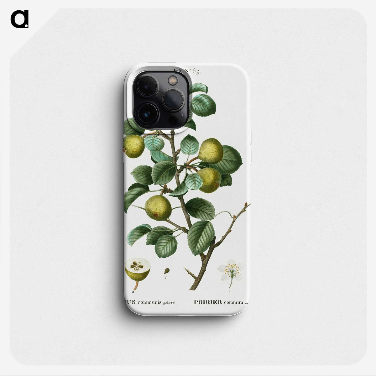 2-35_Treatise-on-Trees-and-Shrubs_phone
