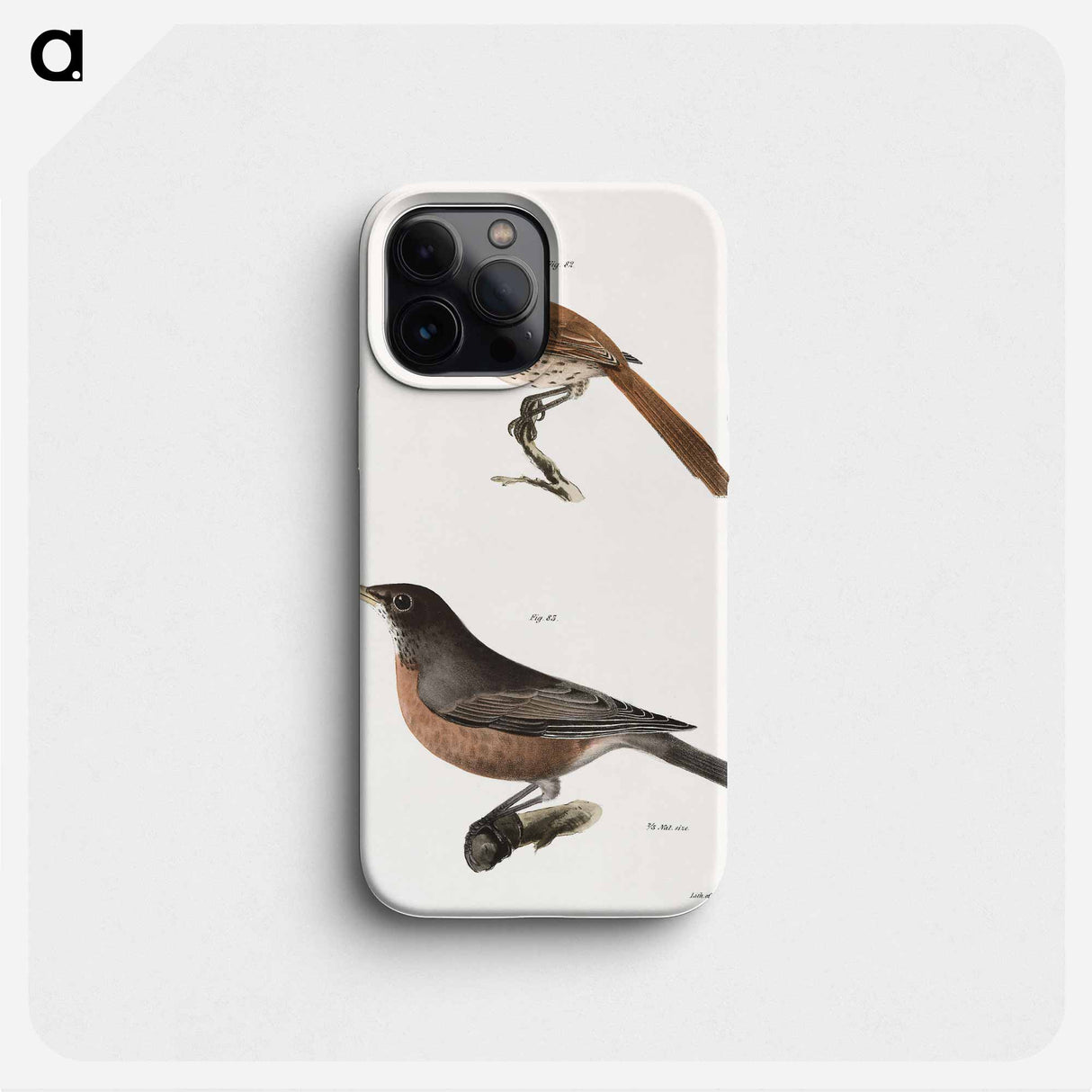 The Brown Thrush (Orpheus rufus) The American Robin (Merula migratoria) - ニューヨークの動物学 Phone Case.